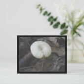 Blume Pilz Postkarte (Stehend Vorderseite)