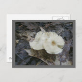 Blume Pilze Postkarte (Vorne/Hinten)