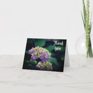 Blume "Pink and White Hydrangea Garden" Dankeskarte