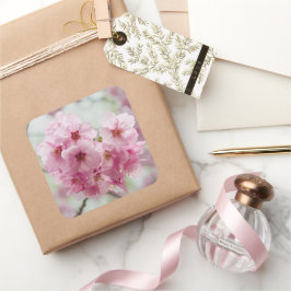 Blume Pink Cherry Blossom, Japan Fotografie Quadratischer Aufkleber
