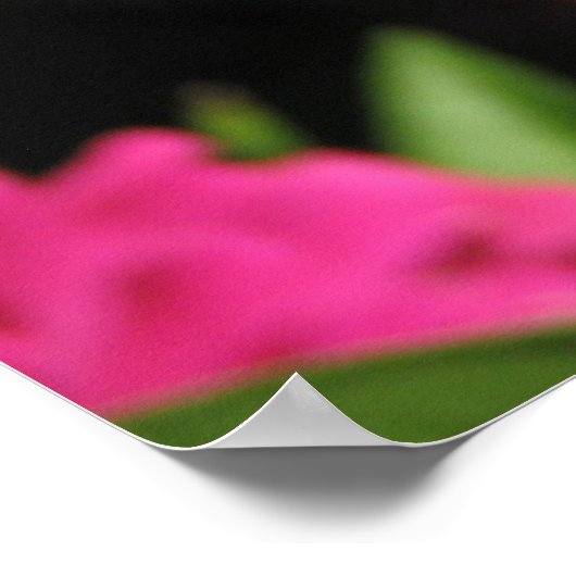 Blume PINK Poster (Ecke)