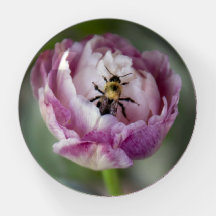 Blume Pink Tulip und Bee Paperweight