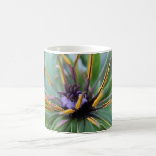 Blume Pistil Kaffeetasse (Mittel)