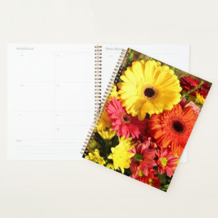 Blume Planer