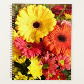 Blume Planer (Vorderseite)