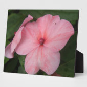 Blume Plaque Fotoplatte (Seite)
