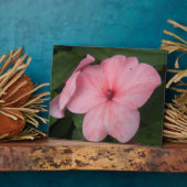 Blume Plaque Fotoplatte (Seite)