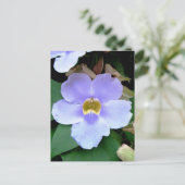 Blume, Plazencia, Belize Postkarte (Stehend Vorderseite)