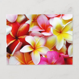 Blume Plumeria Frangipani Hawaii individuell Postkarte