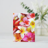 Blume Plumeria Frangipani Hawaii individuell Postkarte (Stehend Vorderseite)