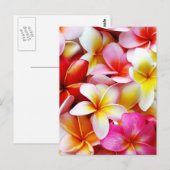 Blume Plumeria Frangipani Hawaii individuell Postkarte (Vorne/Hinten)