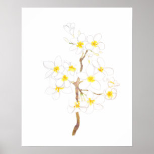 Blume Plumeria frangipani Tinte und Wasser Poster