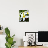 Blume Plumeria Poster (Heimbüro)