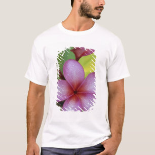 Blume, Plumeria sp.), Südpazifik, Niue T-Shirt