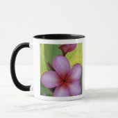 Blume, Plumeria sp.), Südpazifik, Niue Tasse (Links)