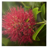 Blume Pohutukawa, Dunedin Fliese (Vorderseite)