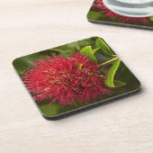 Blume Pohutukawa, Dunedin Getränkeuntersetzer (Linke Seite)