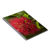 Blume Pohutukawa, Dunedin Notizblock (Rechte Seite)