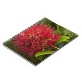 Blume Pohutukawa, Dunedin Notizblock (Linke Seite)