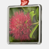 Blume Pohutukawa, Dunedin Silbernes Ornament (Links)