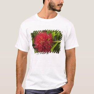Blume Pohutukawa, Dunedin T-Shirt