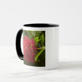 Blume Pohutukawa, Dunedin Tasse (Vorderseite Links)