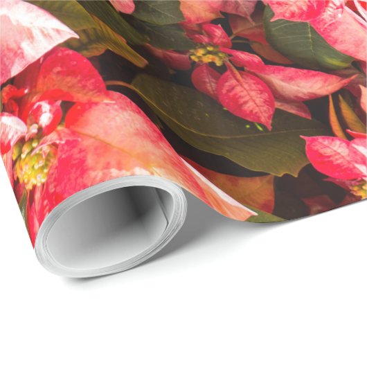 Blume Poinsettia Geschenkpapier (Rolleneckpunkt)