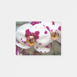 Blume Post-it Klebezettel