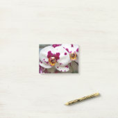 Blume Post-it Klebezettel (Auf Schreibtisch)