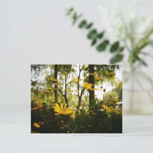 Blume Postcard_01 Postkarte (Stehend Vorderseite)