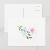 Blume Postcard, Blue and Pink Cosmos Postkarte (Vorne/Hinten)