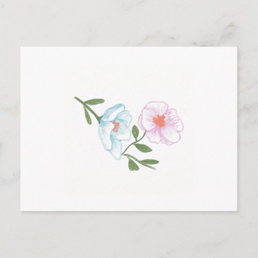 Blume Postcard, Blue and Pink Cosmos Postkarte (Vorderseite)