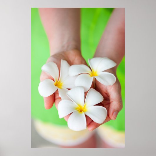 Blume Poster (Vorne)