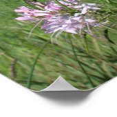 Blume Poster (Ecke)