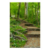 Blume Poster (Vorderseite)