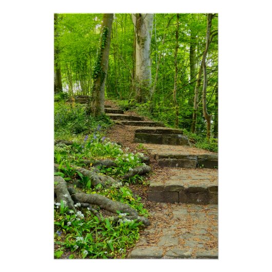 Blume Poster (Vorderseite)