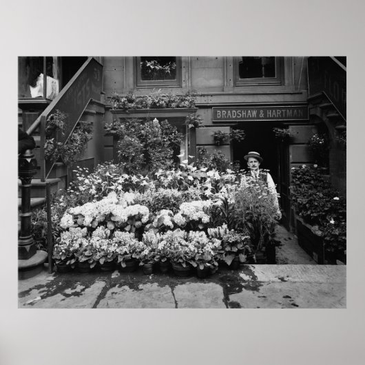 Blume Poster (Vorne)