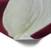 Blume Poster (Ecke)