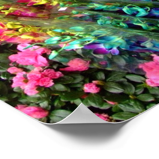 Blume Poster (Ecke)