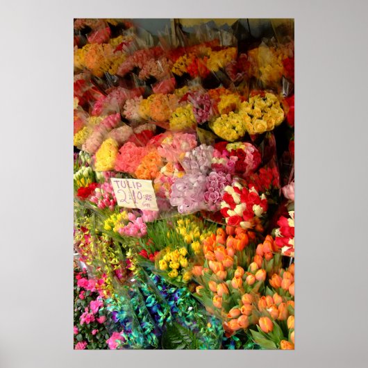 Blume Poster (Vorne)