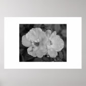 Blume Poster (Vorne)