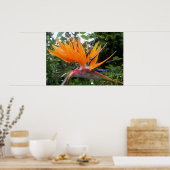 Blume Poster (Küche)