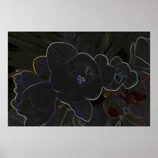 Blume Poster (Vorne)