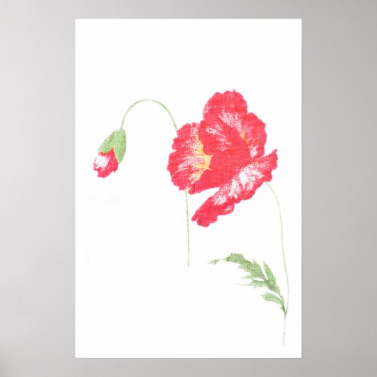 Blume Poster (Vorne)