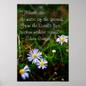 Blume Poster (Vorne)