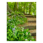 Blume Poster (Vorderseite)