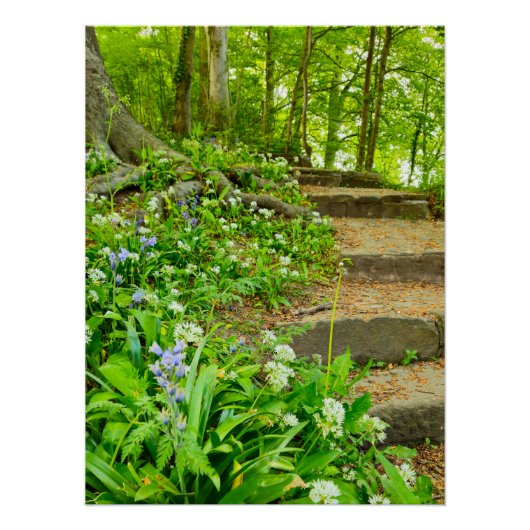 Blume Poster (Vorderseite)