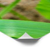 Blume Poster (Ecke)