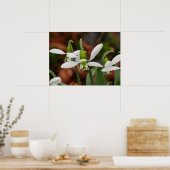 Blume Poster (Küche)