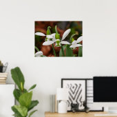 Blume Poster (Heimbüro)